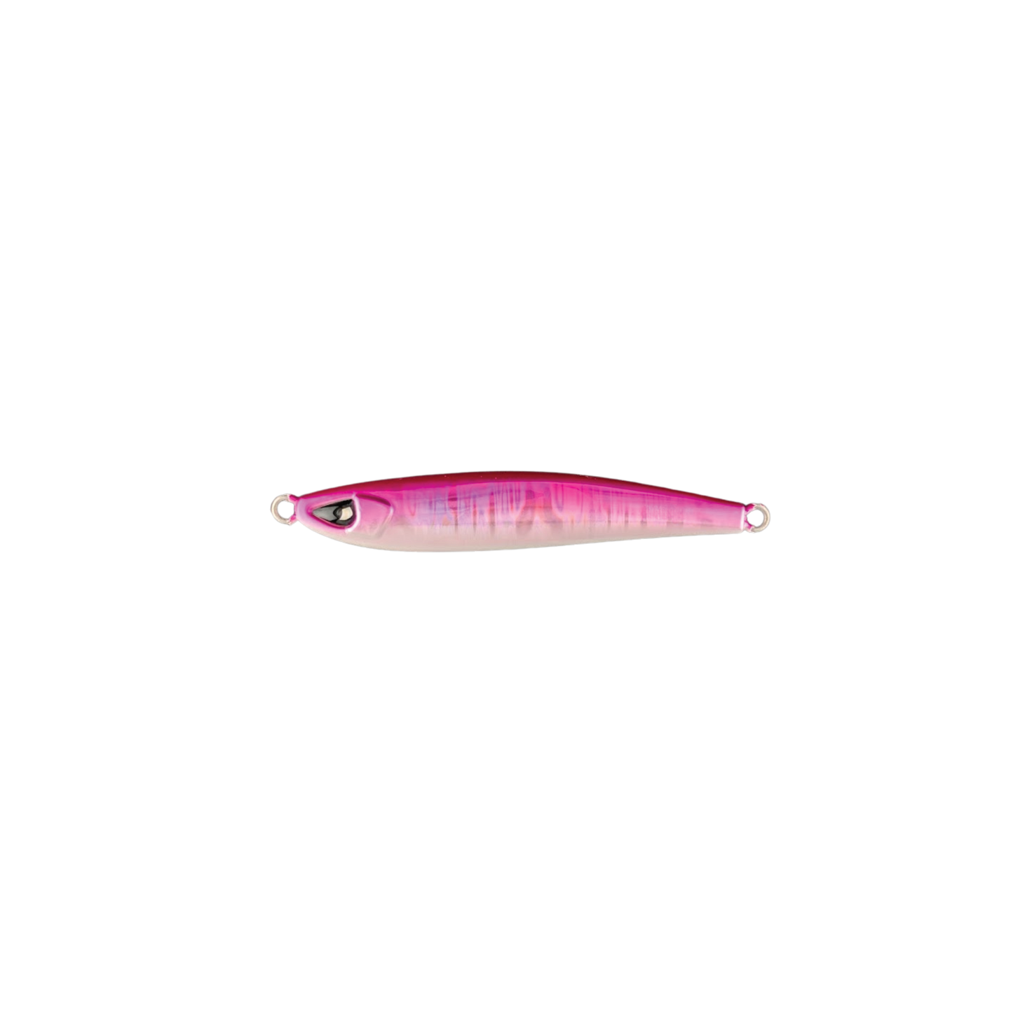 Sardine