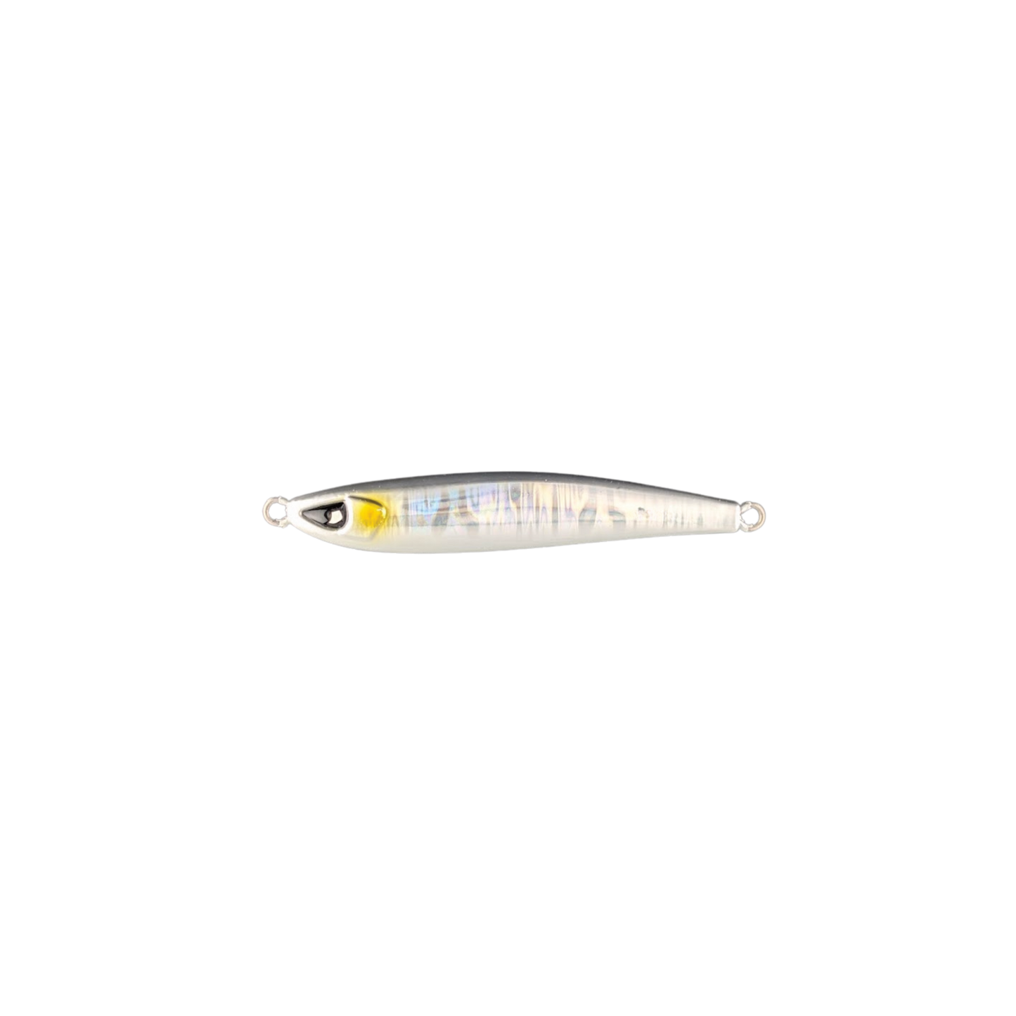 Sardine