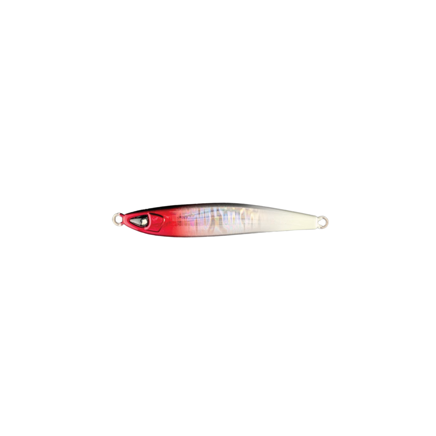 Sardine