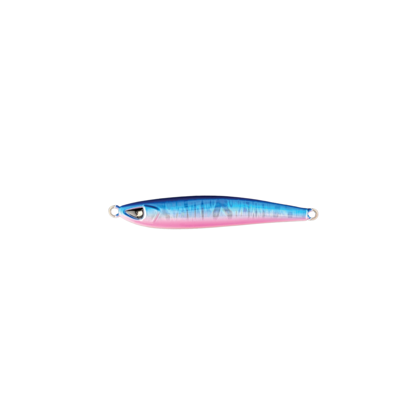 Sardine