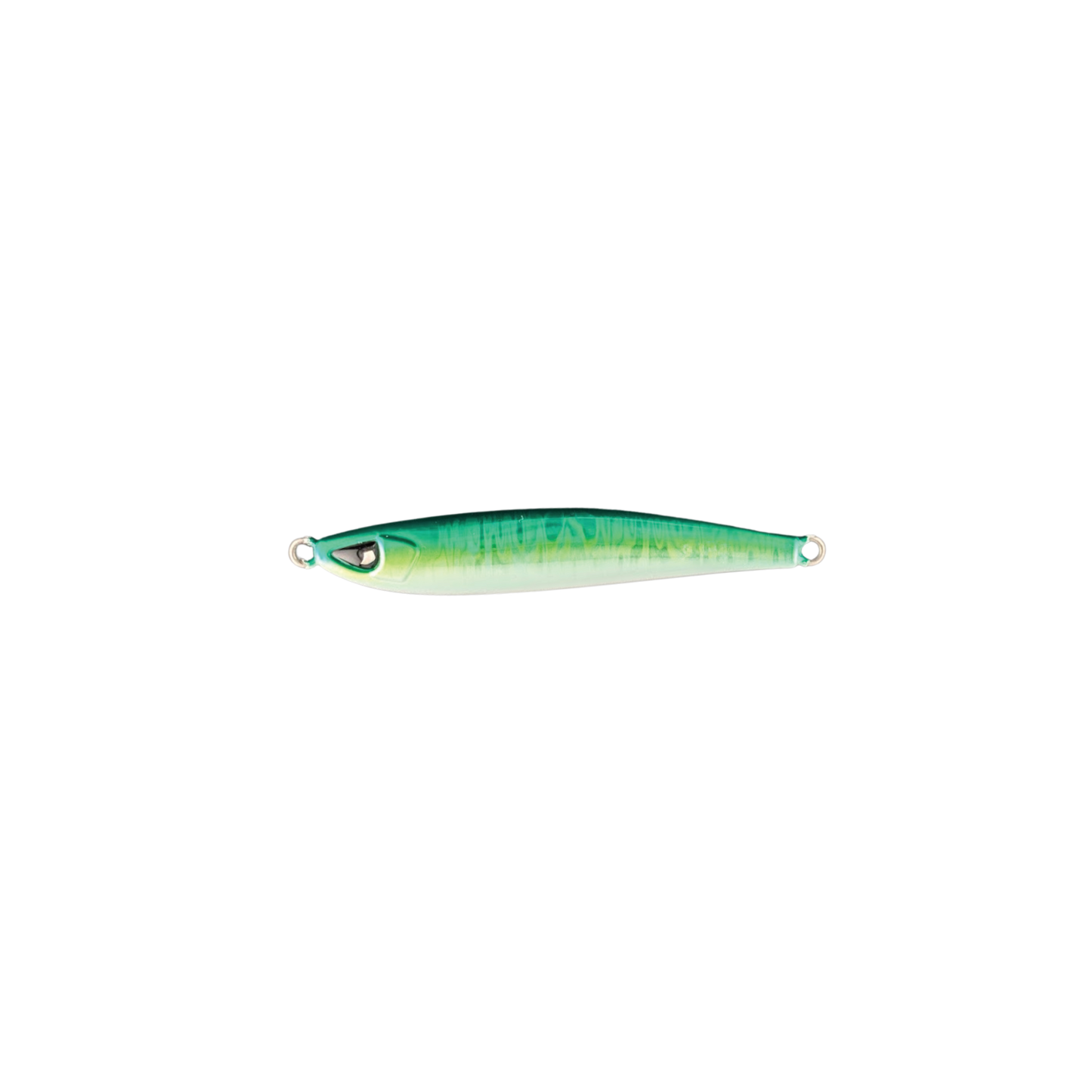 Sardine