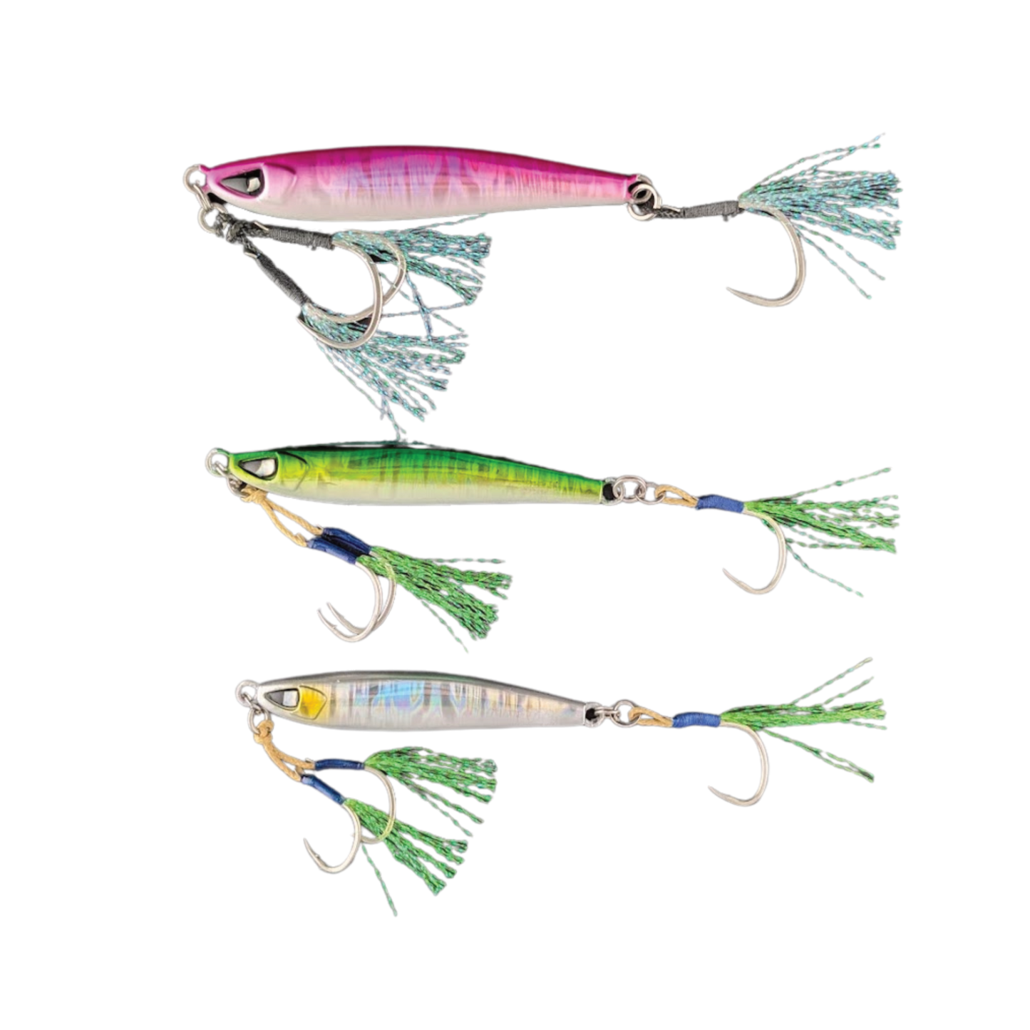 Sardine