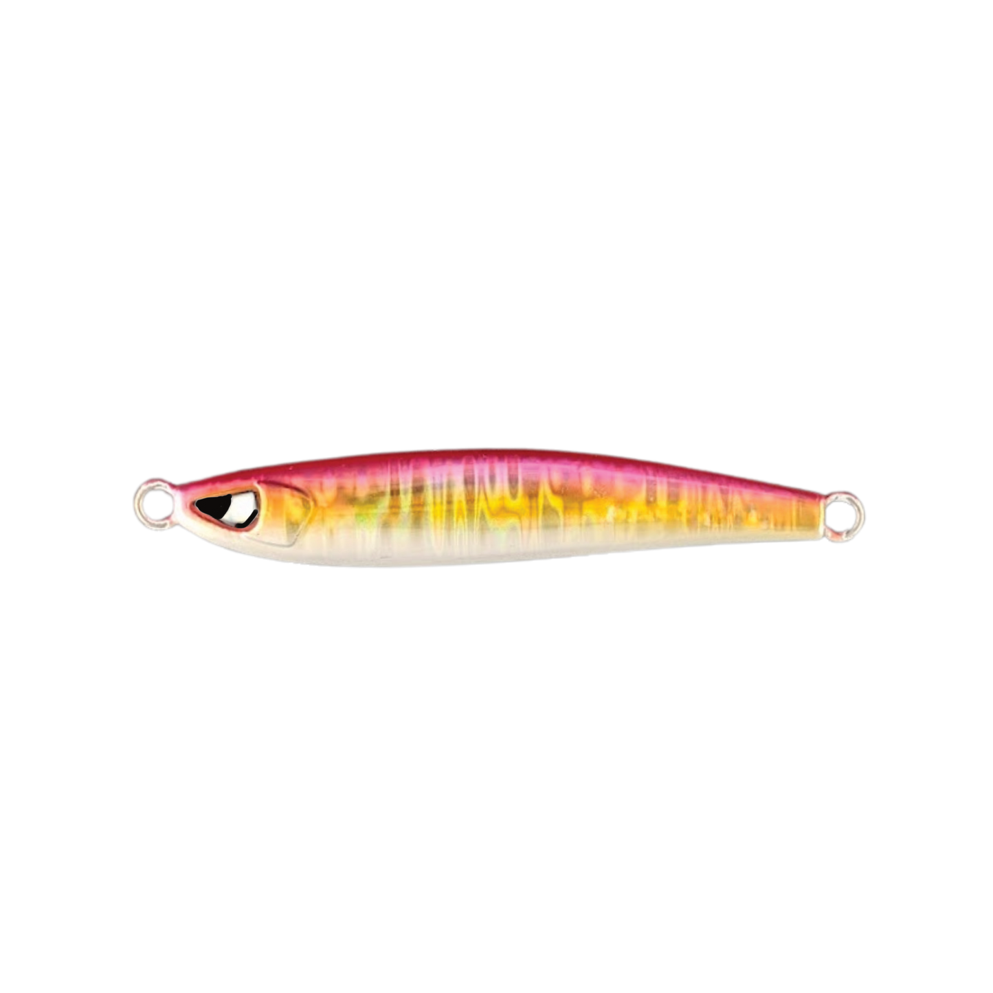 Sardine