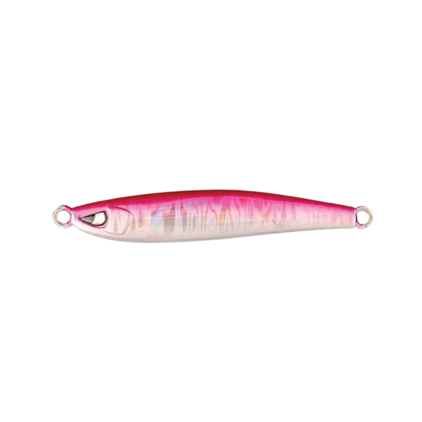 Sardine HD