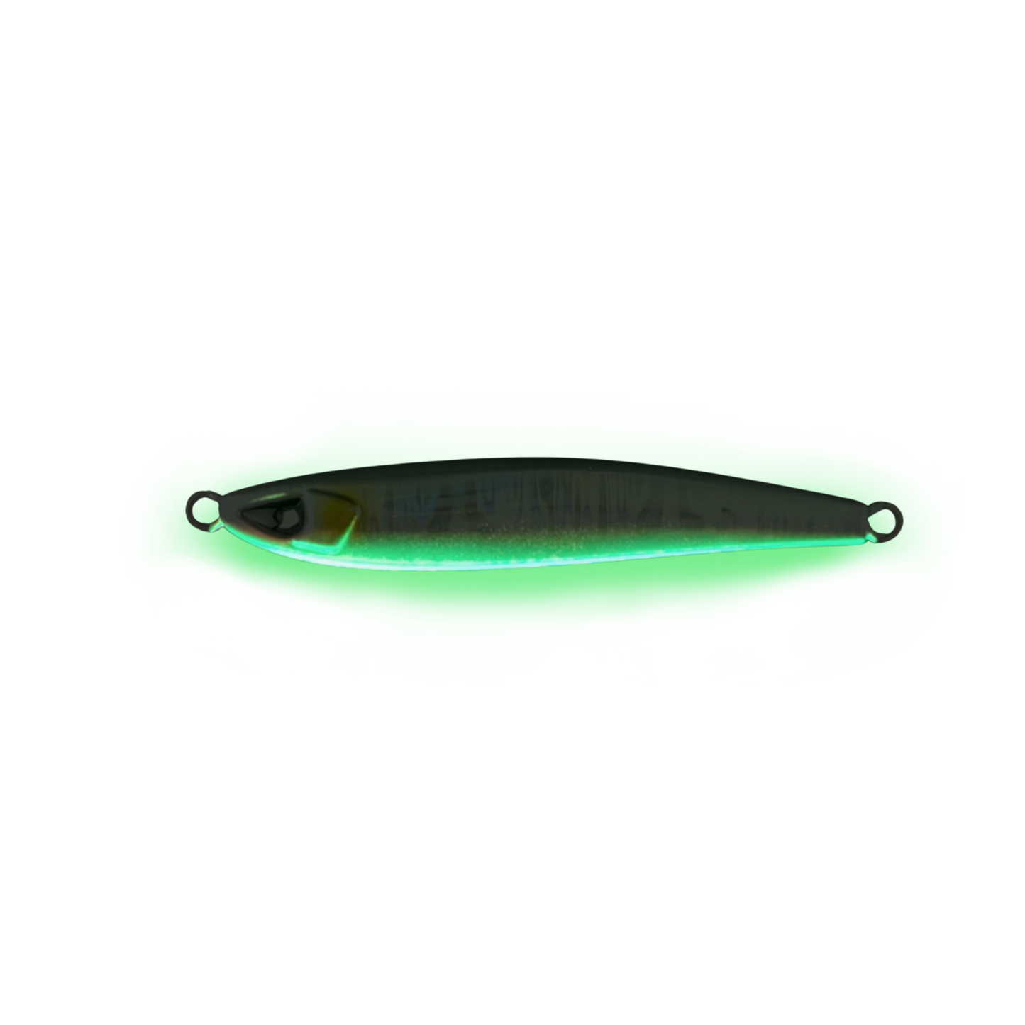Sardine